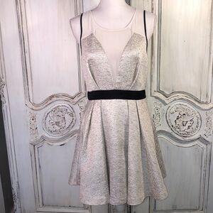 BCBGeneration Metallic Threaded Tweed With Sheer Inserts Party Dress Size 8